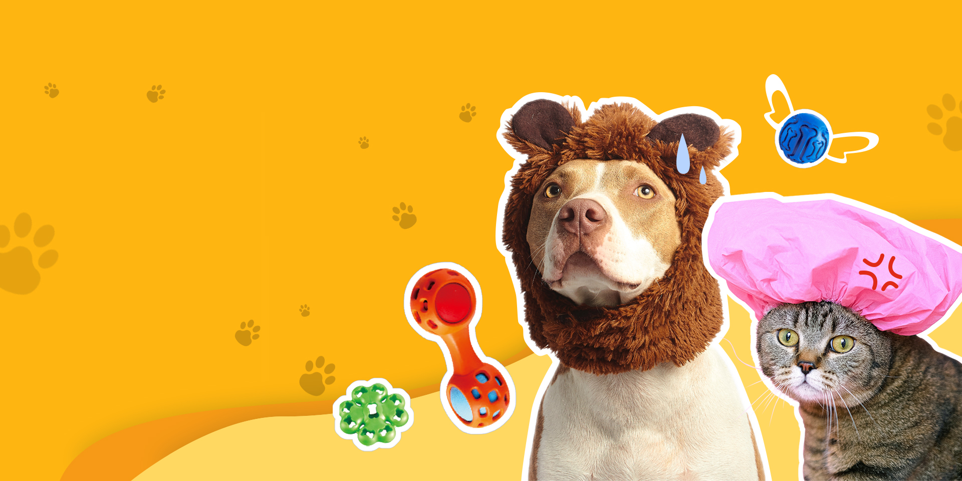 Pet Products