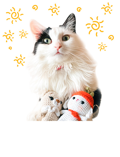Cat Toy