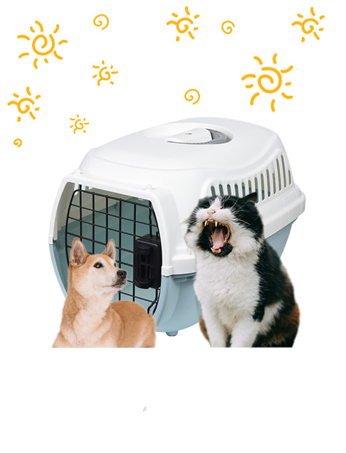 Pet Travel Box